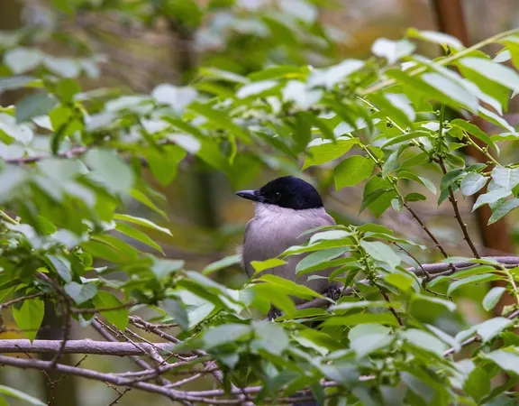home_animals_photo9